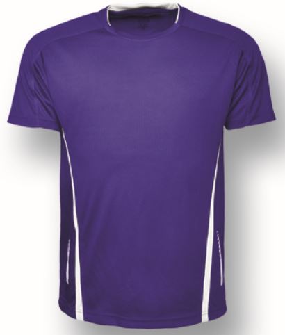 Load image into Gallery viewer, CT1493 Kids Elite Sports Tee
